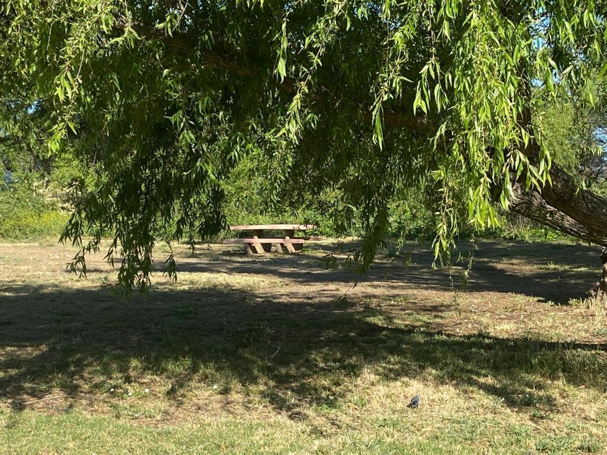 Clearlake Cabins Ngoại thất bức ảnh