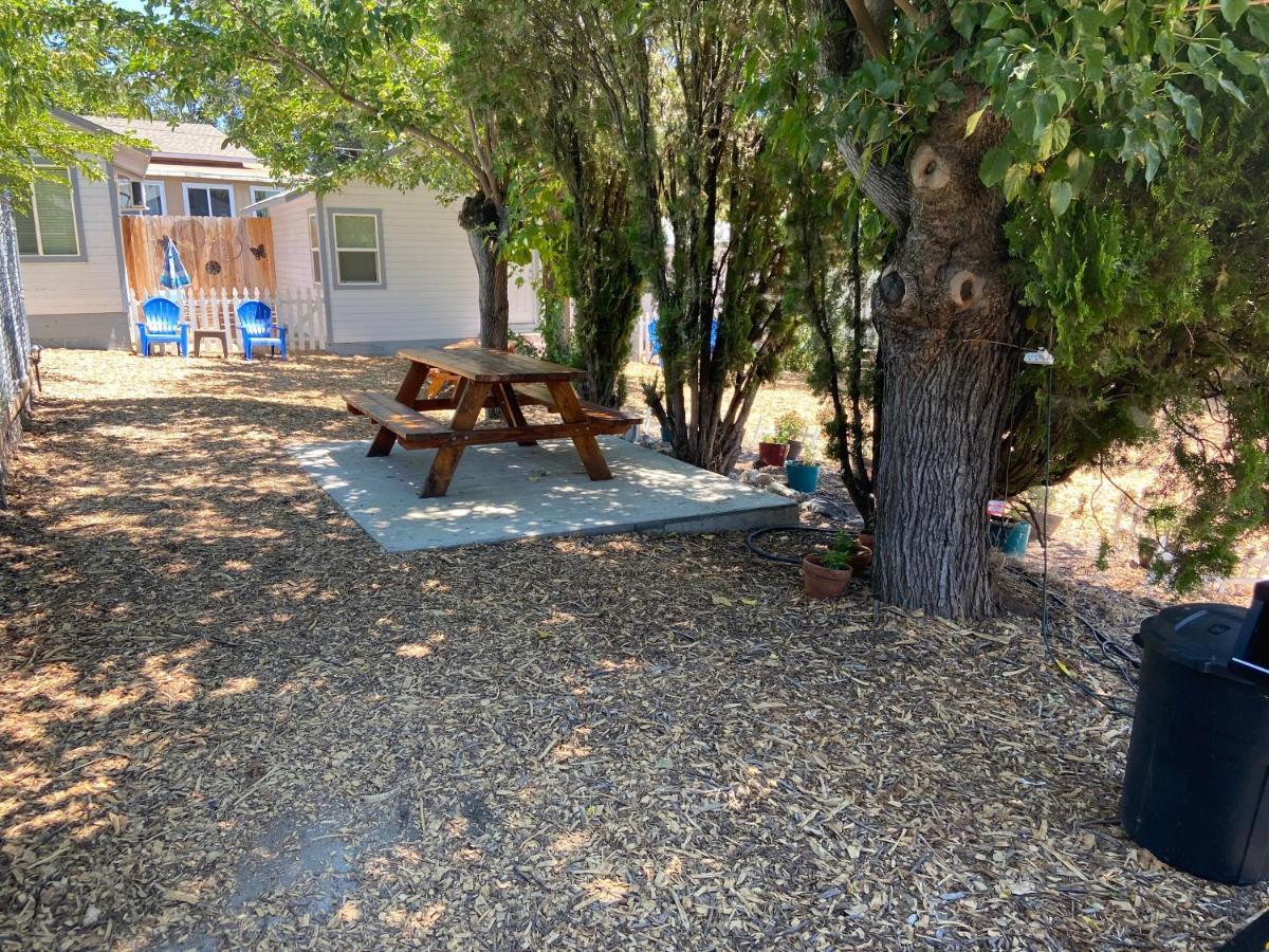 Clearlake Cabins Ngoại thất bức ảnh